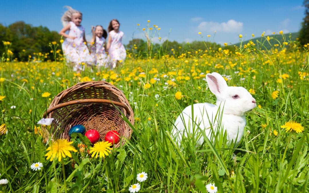 kids running in easter egg hunt and finding a bunny rabbit