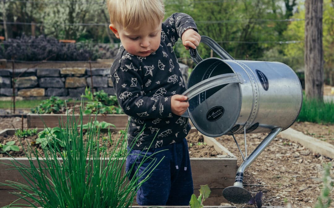 little boy watering box garden with silver watering can